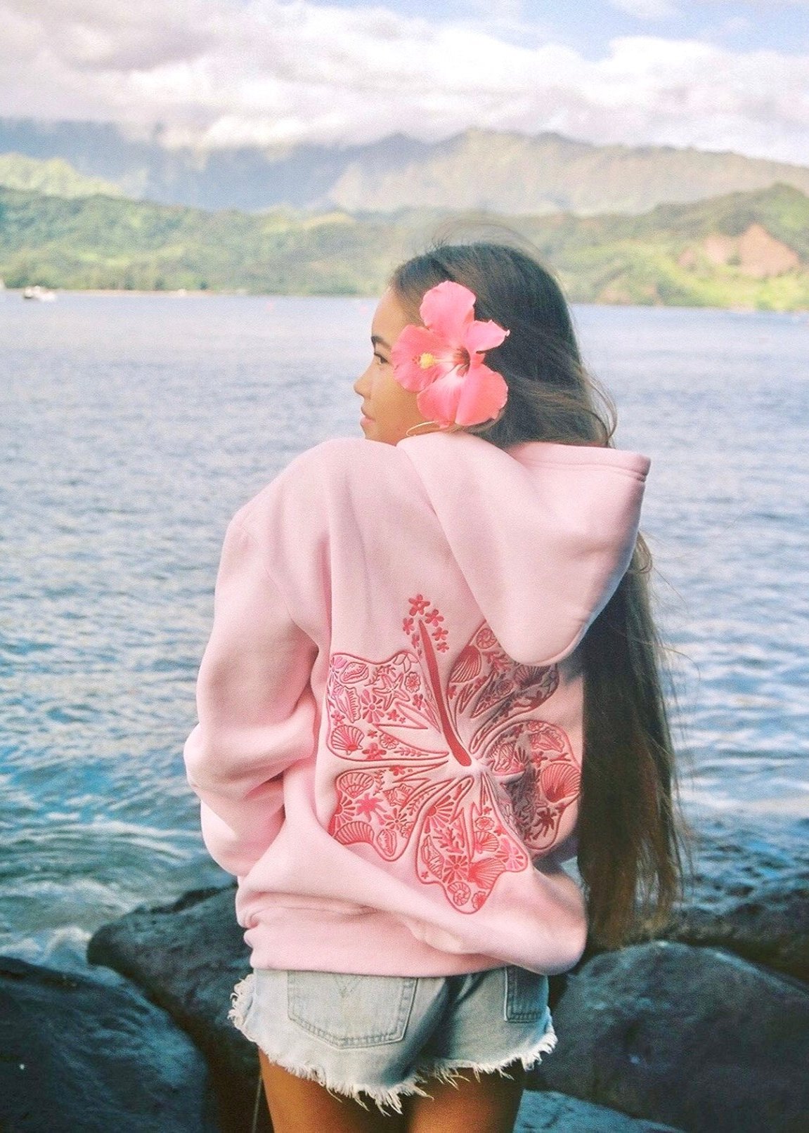 Hawaii Hibiscus
